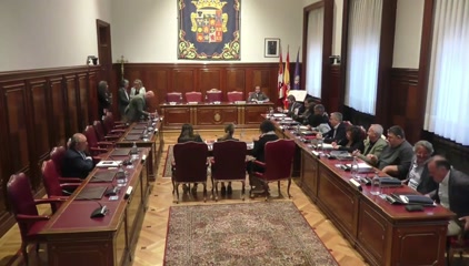 Pleno ordinario de 25 de...