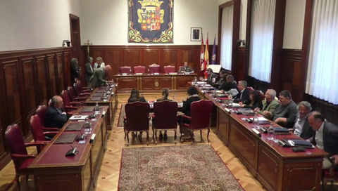 Pleno ordinario de 25 de septiembre de 2025